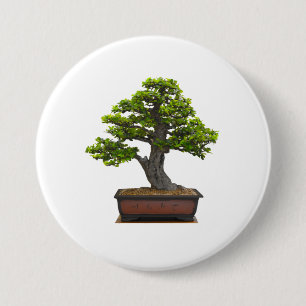 Bonsaisbaum Button