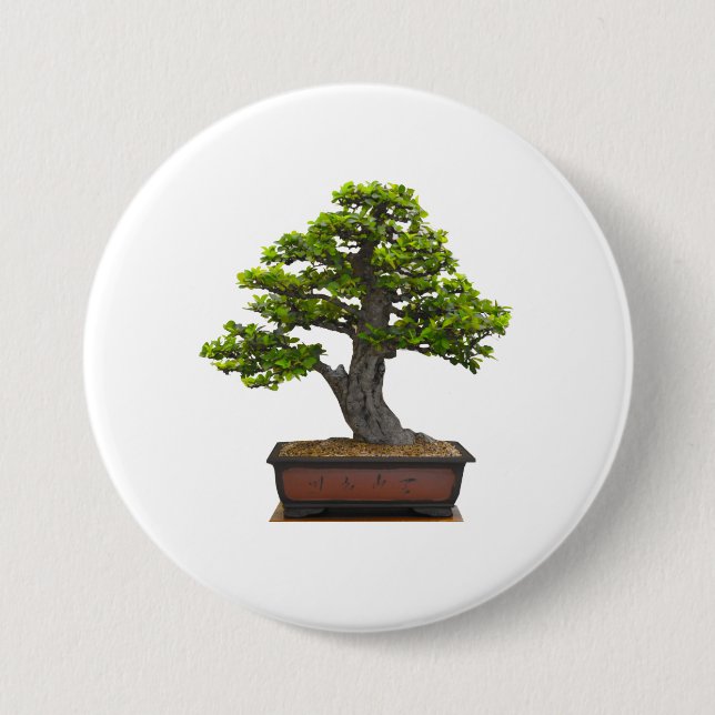 Bonsaisbaum Button (Vorderseite)