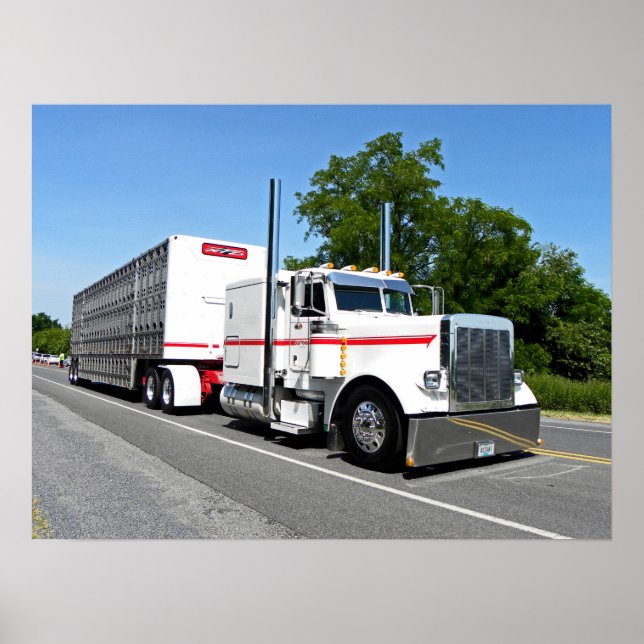 Bontragers 379 Poster (Vorne)