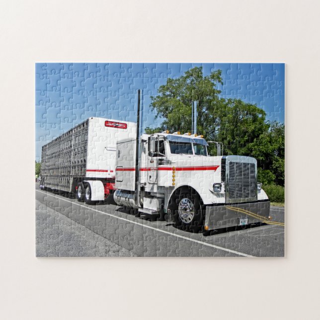 Bontragers 379 Puzzlespiel (Horizontal)