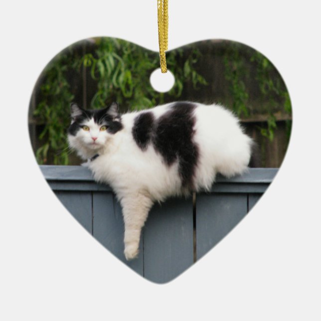 Bonze auf Zaun Keramikornament (Vorne)