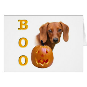 Boo Dachshund (lisse)