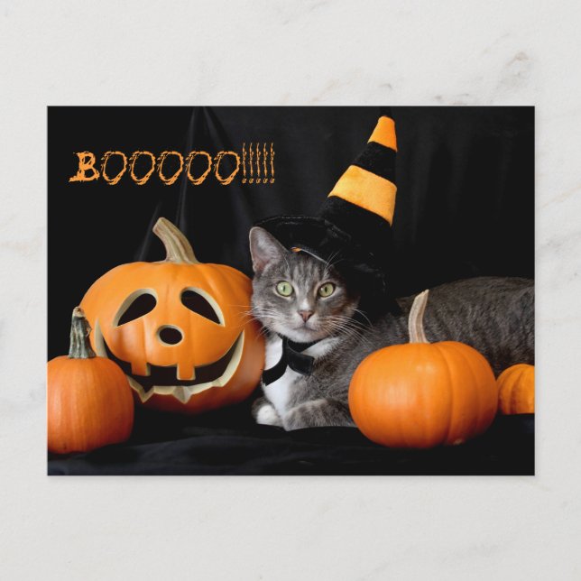 Boo Halloween Postkarte mit Katze (Vorderseite)
