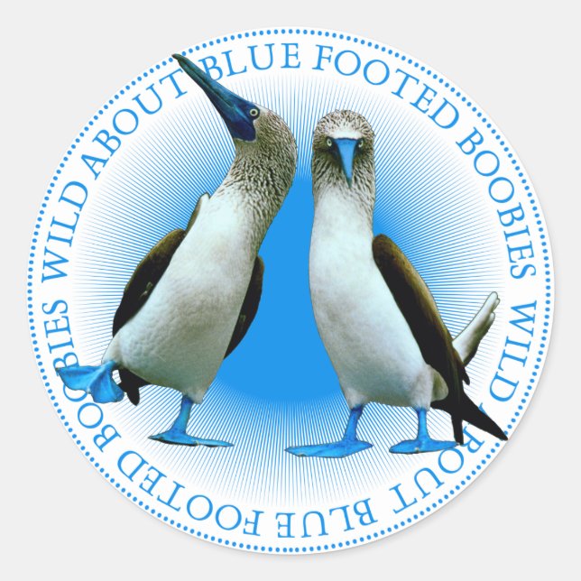 Boobies à pied bleu Oiseaux Stickers (Devant)