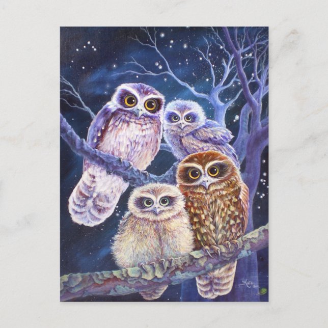Boobook Owl Family Postkarte (Vorderseite)