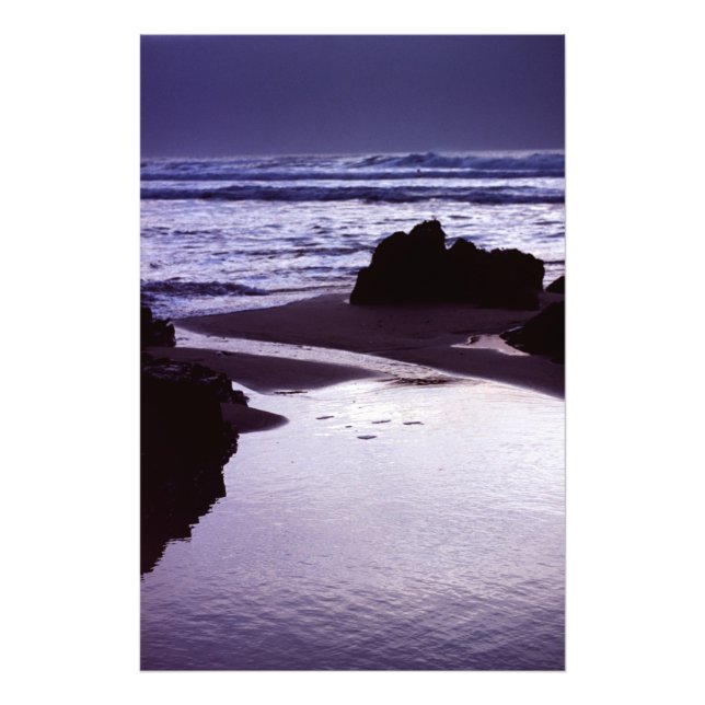 Boobys Bay Fotodruck (Vorne)