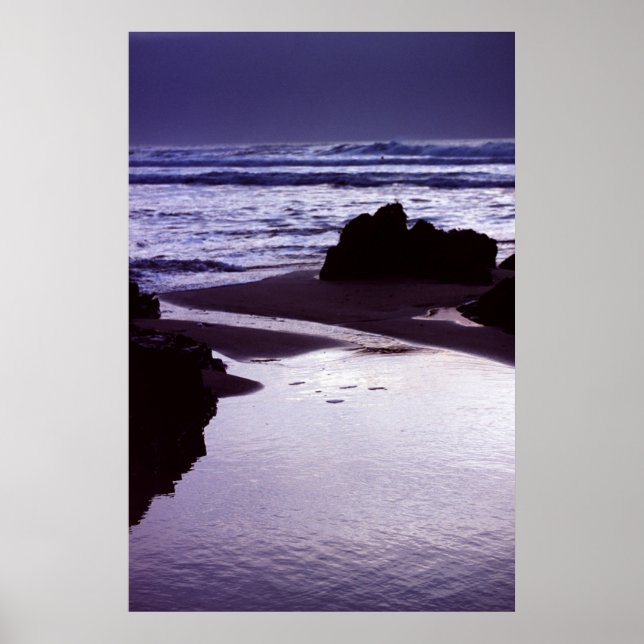 Boobys Bay Poster (Vorne)