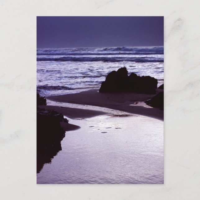 Boobys Bay Postkarte (Vorderseite)