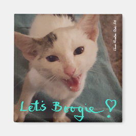 Boogie ! aimant chaton