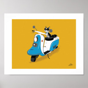 Boogie auf Fuji-Kaninchen Poster