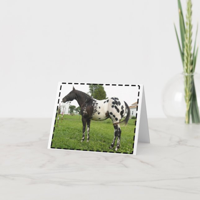 BOOGIE-BIENEN-JET-MITTEILUNGSKARTEN KARTE (Vorderseite)