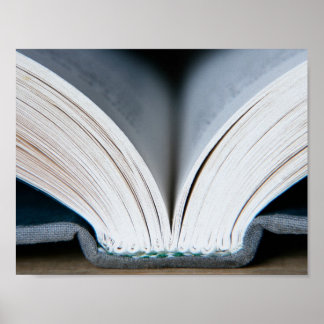 Book Spine (poster) Poster