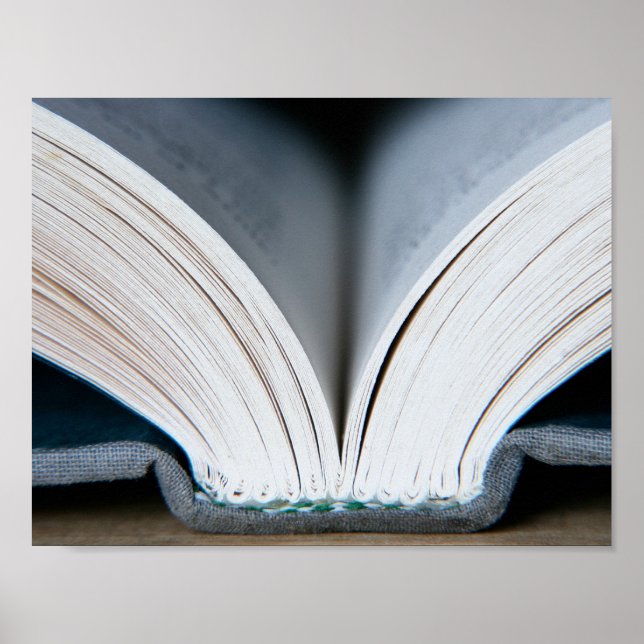 Book Spine (poster) Poster (Vorne)