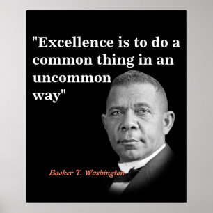 Booker T. Washington Zitat über Exzellenz Poster