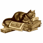 Bookworm Kitty Cat Reading Books Freistehende Fotoskulptur<br><div class="desc">Bookworm Kitty Cat ruht auf seiner Bibliothek und liest Bücher,  die auf Geschenkartikeln gedruckt sind.</div>