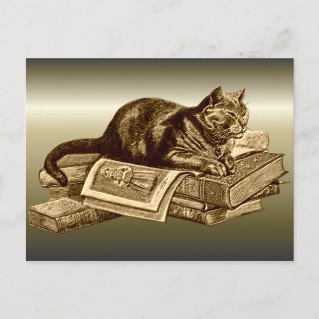 Bookworm Kitty Cat Reading Books Postkarte (Vorderseite)