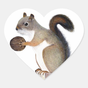 Boomer Squirrel Herz-Aufkleber