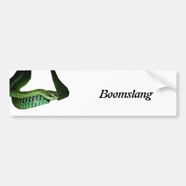 Boomslang Autoaufkleber (Vorne)