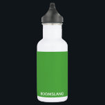Boomslang grüne Farbe Edelstahlflasche<br><div class="desc">Boomslang grüne Farbe</div>