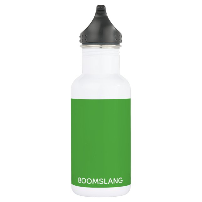 Boomslang grüne Farbe Edelstahlflasche (Rechts)