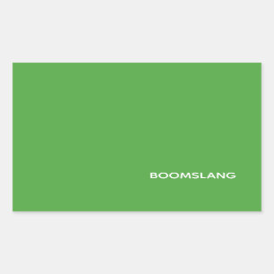 Boomslang grüne Farbe Rechteckiger Aufkleber