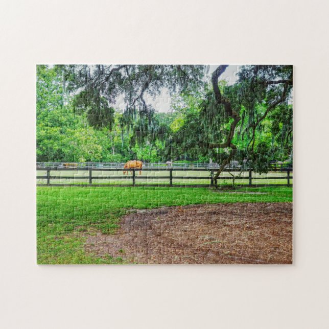 Boone Hall Stables (Horizontal)