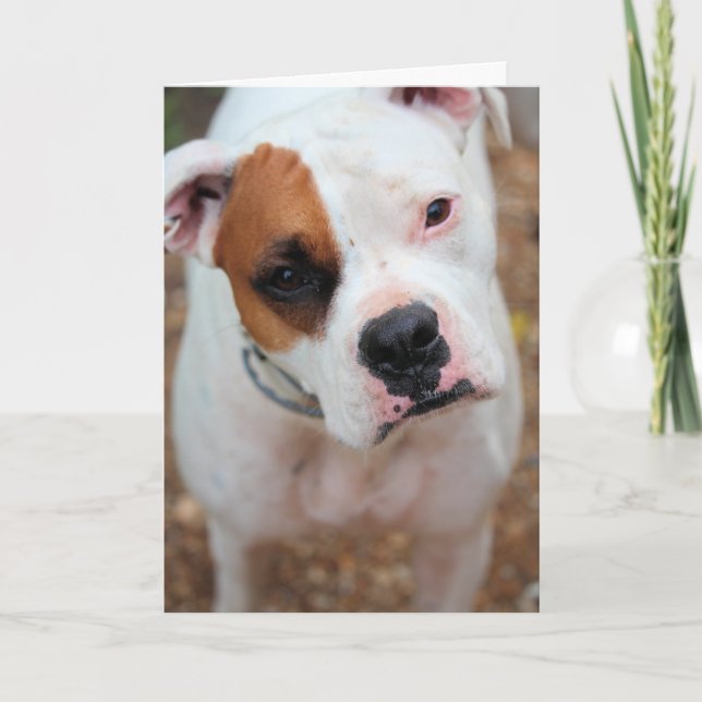 Boop Karte (Vorderseite)