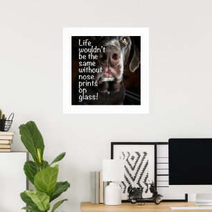 Boop My Nose Chocolate Lab Nahaufnahme Fotografie Poster