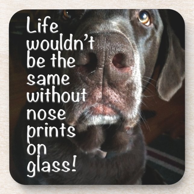 Boop My Nose Chocolate Labrador Nah-Up Fotograf Getränkeuntersetzer (Vorderseite)