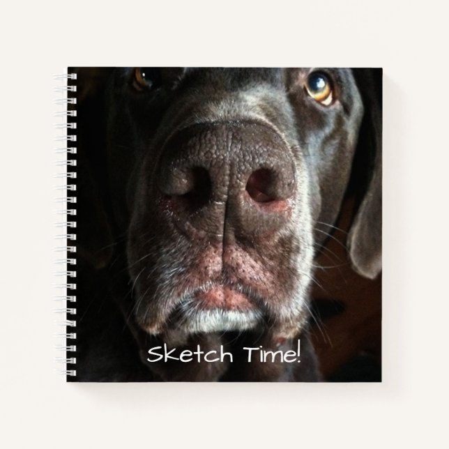 Boop My Nose Labrador Retriever Nah-Up Foto Notizbuch (Vorderseite)