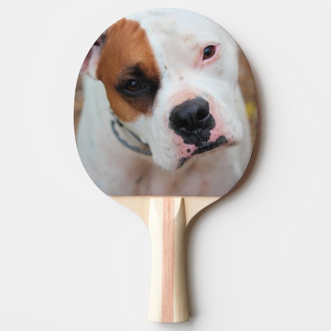 Boop Tischtennis Schläger (Vorderseite)