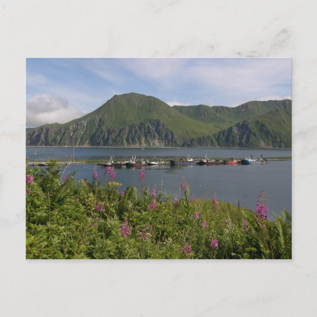 Boote an der Spitze im niederländischen Hafen, Ala Postkarte (Vorderseite)