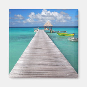 Boote an einem Steg im Pazifik-Magneten Magnet