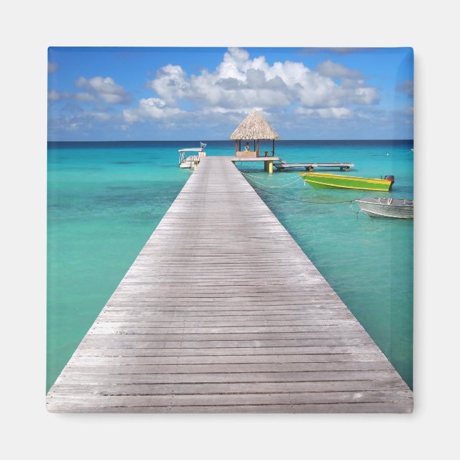 Boote an einem Steg im Pazifik-Magneten Magnet (Vorne)