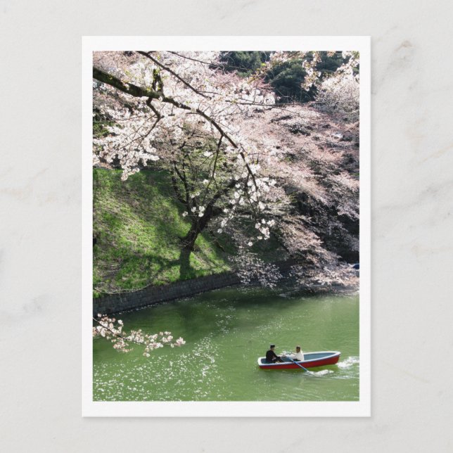 Boote auf Chidorigafuchi: Tokio, Japan Postkarte (Vorderseite)