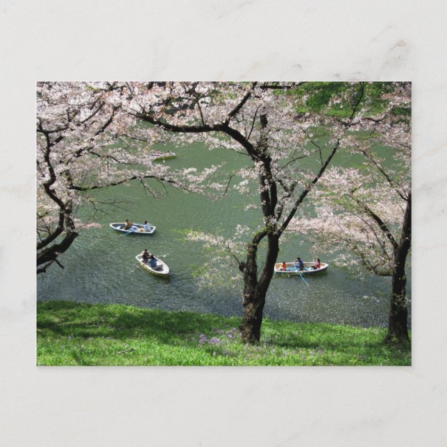 Boote auf Chidorigafuchi: Tokio, Japan Postkarte (Vorderseite)