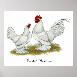 Booted Bantams Poster
