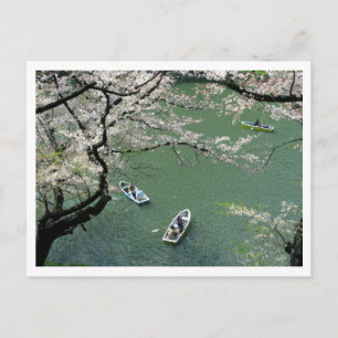 Bootfahren auf Chidorigafuchi: Tokio, Japan Postkarte
