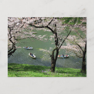 Bootfahren auf Chidorigafuchi: Tokio, Japan Postkarte