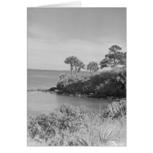 Bord de mer