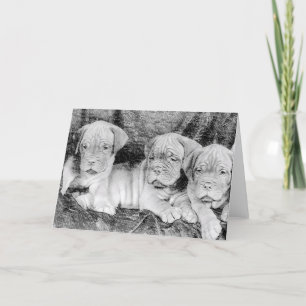 Bordeaux-Grußkarte Karte