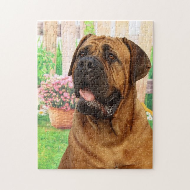 Bordeaux Mastiff (Vertikal)