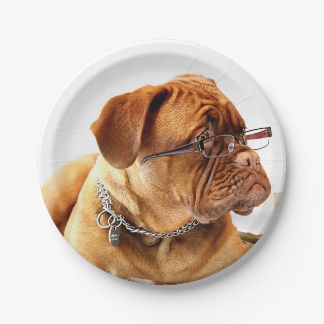 Bordeaux Mastiff, französischer Mastiff Bordeauxdo Pappteller (Vorderseite)