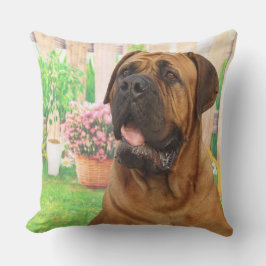 Bordeaux Mastiff Kissen