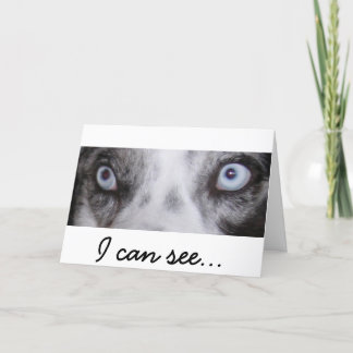 Border-Aussie Birthday Card Karte