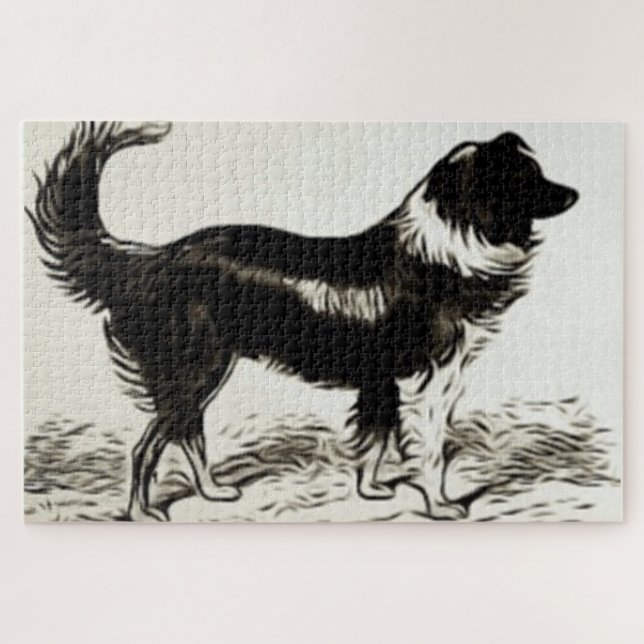 Border Collie (Horizontal)