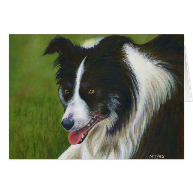 Border collie (Devant horizontal)