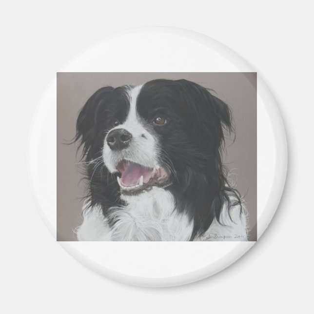 Border Collie 3 Magnet (Vorne)