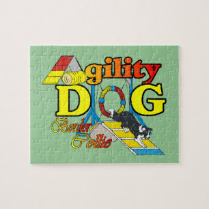 Border Collie Agility