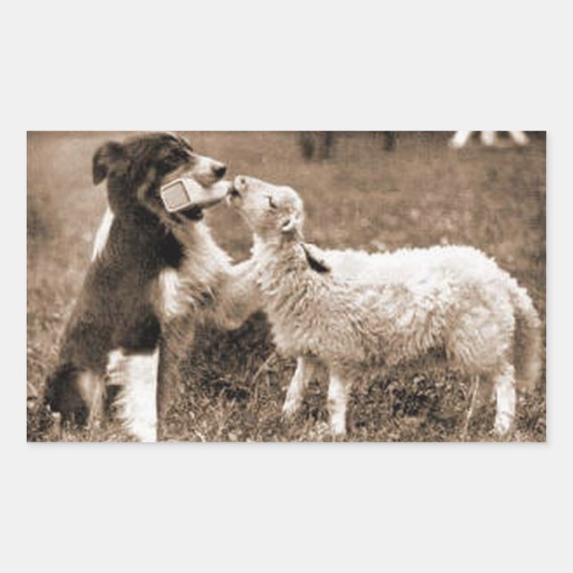 "Border Collie and Lamb"~Aufkleber Rechteckiger Aufkleber (Vorderseite)